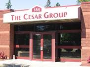 About The Cesar Group, Inc